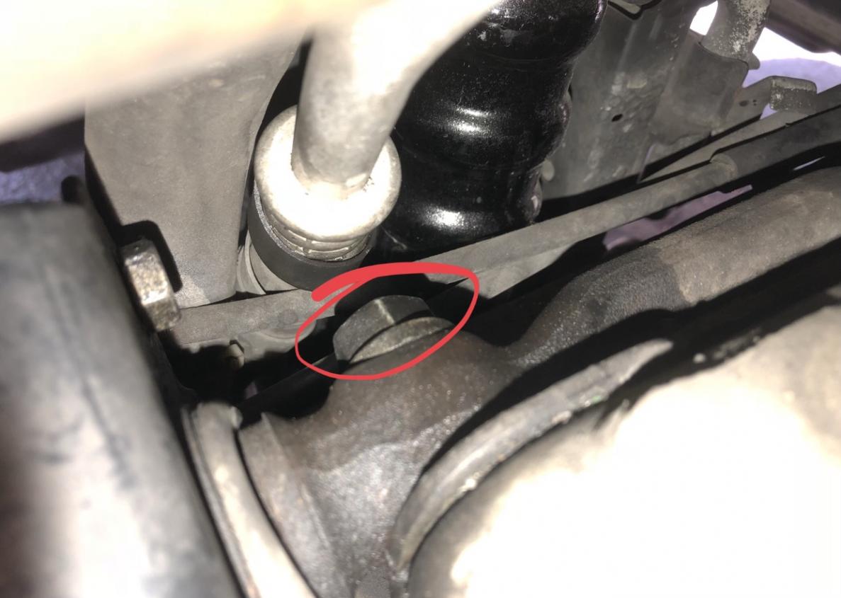 Name:  IMG_2776.jpg
Views: 460
Size:  84.6 KB